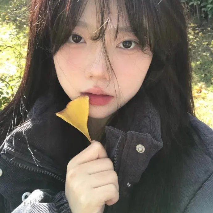 舞女大盗
